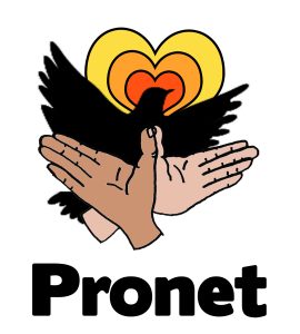 pronet icon